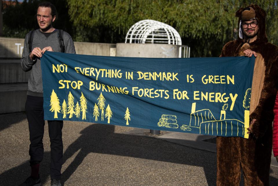 Stop burning forests for fuel. Foto: Ole V. Wagner BURNING WOOD AWARD