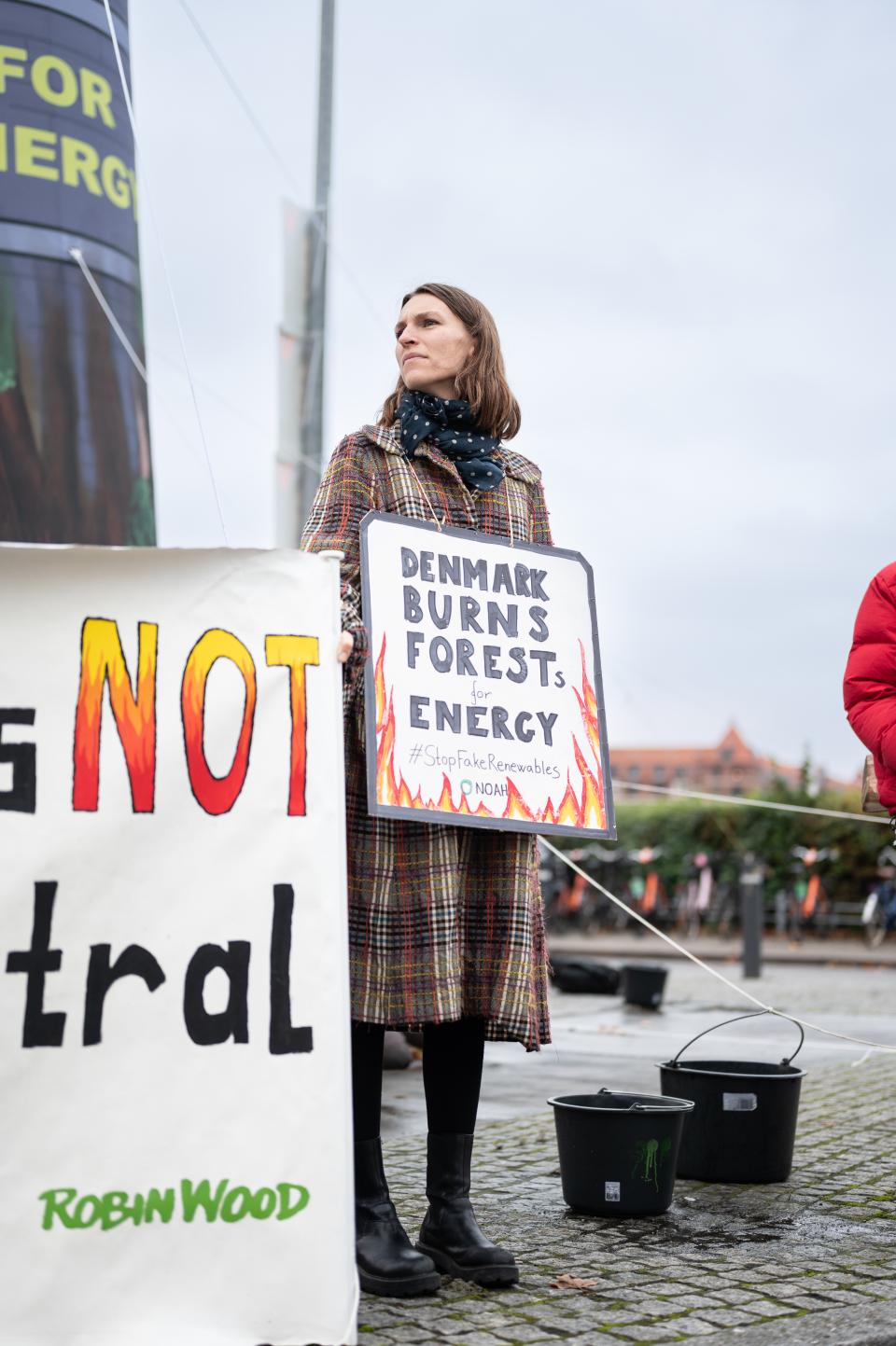 Foto fra aktion mod biomasse: BURNING WOOD AWARD!