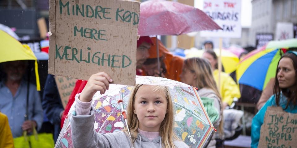 Foto: Mark Knudsen Foto fra demo imod industrisvin