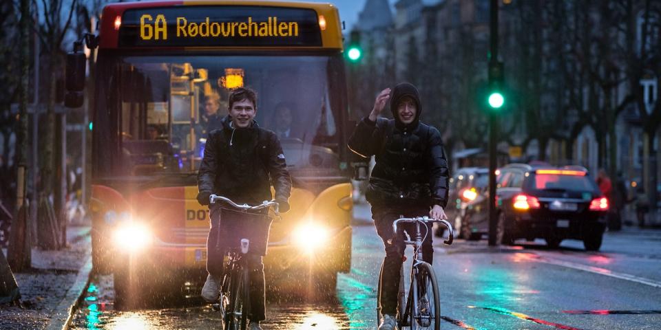 Cykler på Frederiksberg Allé, København. Foto: Kristoffer Trolle Bus og cykler i København