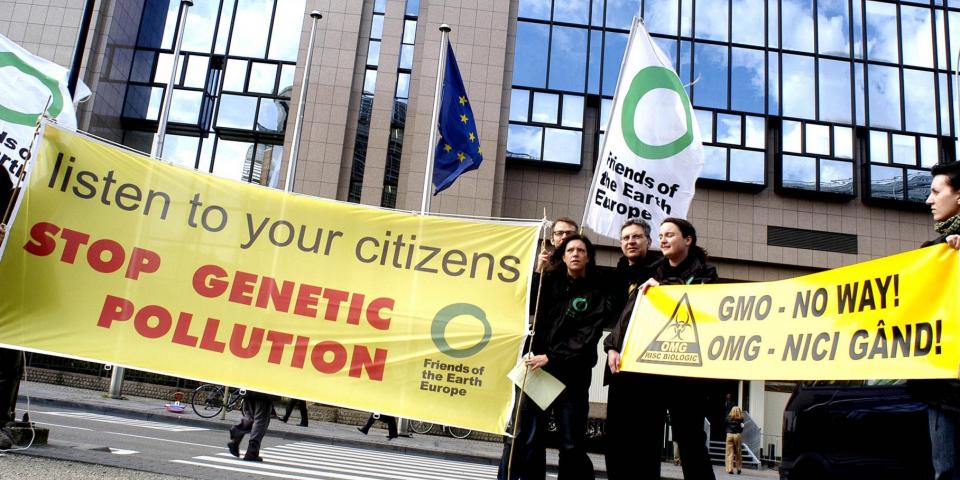 GMO GMO