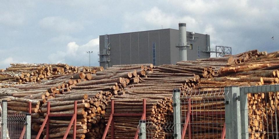 Log yard and plant at Osula Graanul Invest pellet mill in Sõmerpalu, Võru County, Estonia, July 2019. Credit: Peg Putt Log yard and plant at Osula Graanul Invest pellet mill in Sõmerpalu, Võru County, Estonia, July 2019. Credit: Peg Putt