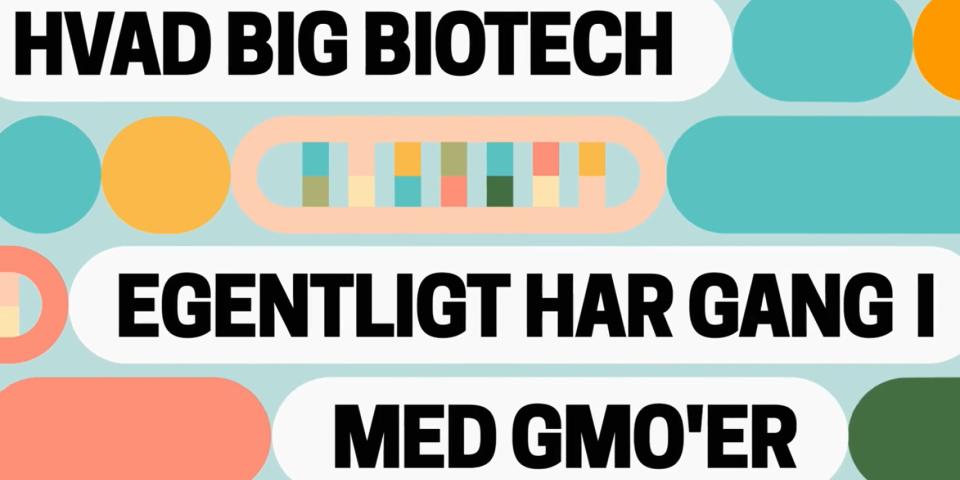 Grafik: Friends of the Earth Europe gmo