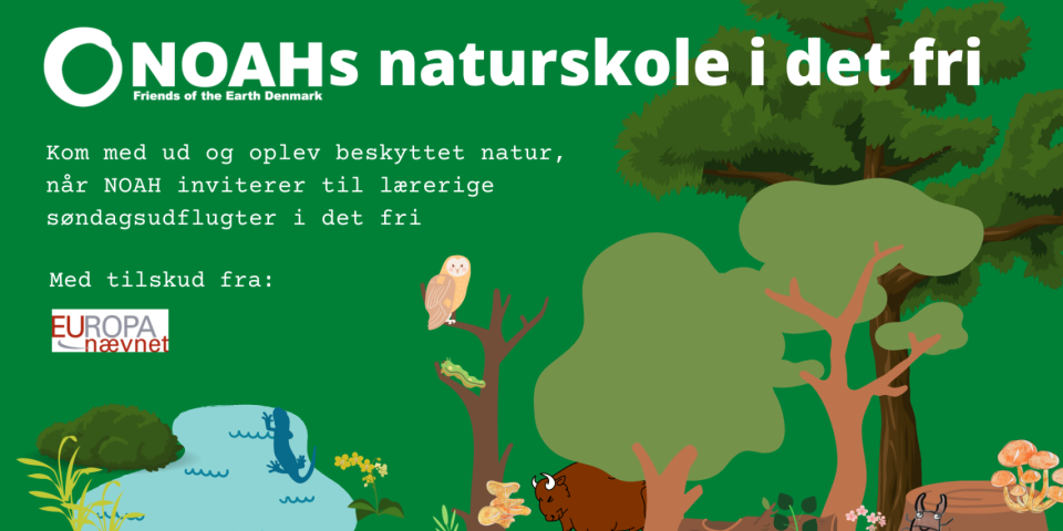 banner banner