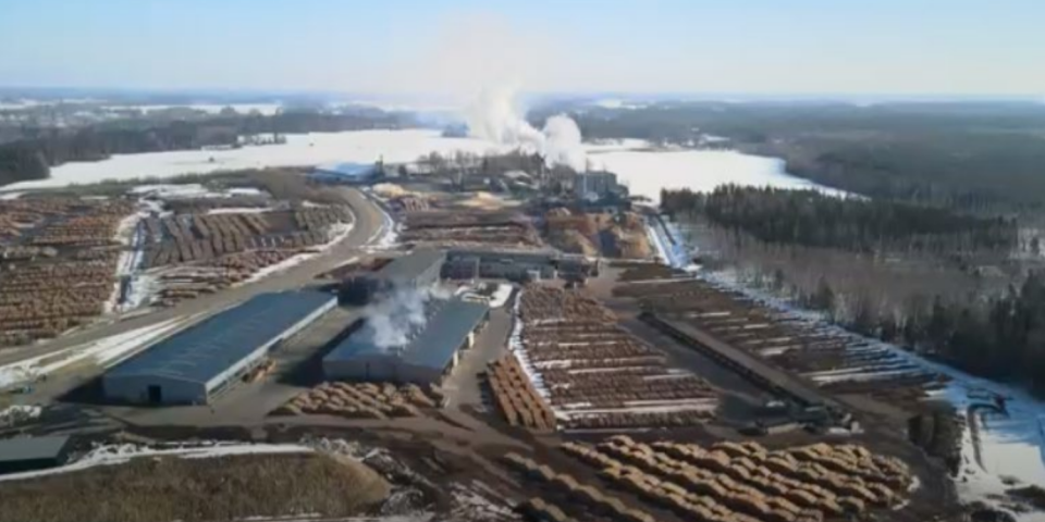 Graanul Invest Osula Pellet, Varese, Võru County, Estland. Graanul er en af de største eksportører af biomasse til danske energiselskaber. 13 March 2022. Foto: Thomas Waitz Graanul