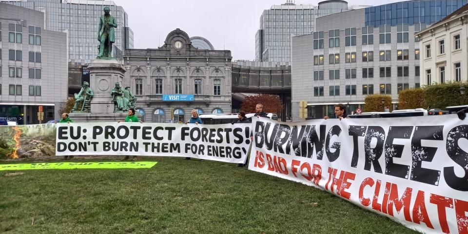 Demonstration mod biomasse foran Europa-Parlamentet i Bruxelles. Foto: Forest Defenders EU should protect the forests