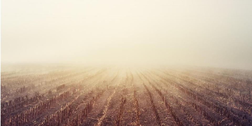 Fødevarekrisen og magtelitens katatrofale "løsninger" (fra Pixabay) Fødevarekrisen og magtelitens katastrofale "løsninger"