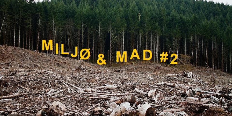 Miljø & Mad #2: Biomasse. Foto: Calibas, wikimedia - NOAH har skrevet teksten på billedet Miljø & Mad #2: Biomasse