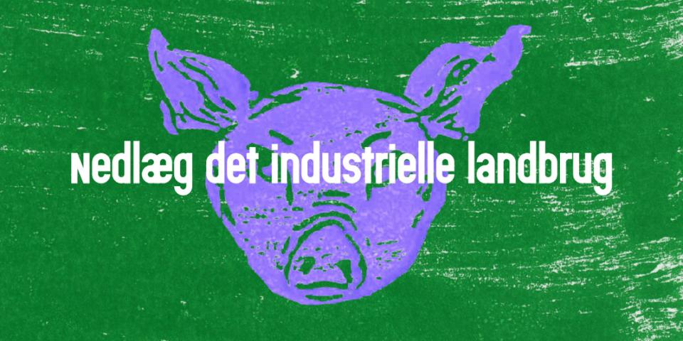 Nedlæg det industrielle landbrug Grisehoved