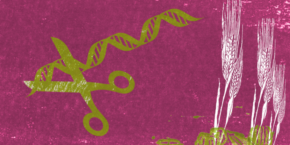 GMO-konference GMO