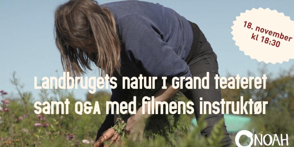 Landbrugets natur i Grand Teatret, 18. november, kl. 18.30 Billede med person i en mark. Billedet er promovering af en film.