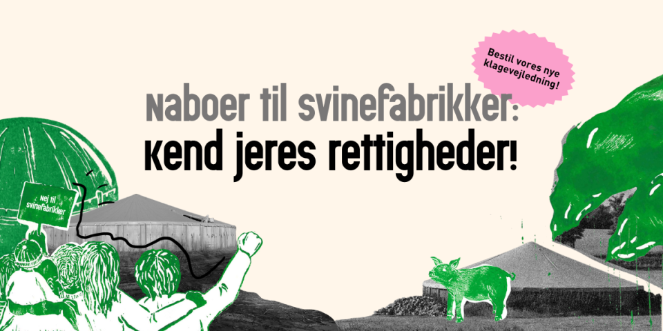 Grafik: NOAH Naboer til svinefabrikker - kend jeres rettigheder