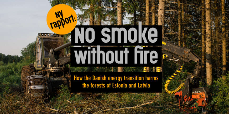 Grafik: NOAH No smoke without fire