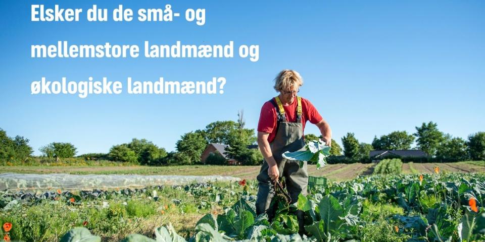 Forbrugere, landmænd og den økologiske GMO-fri sektor er taberne Forbrugere, landmænd og den økologiske GMO-fri sektor er taberne