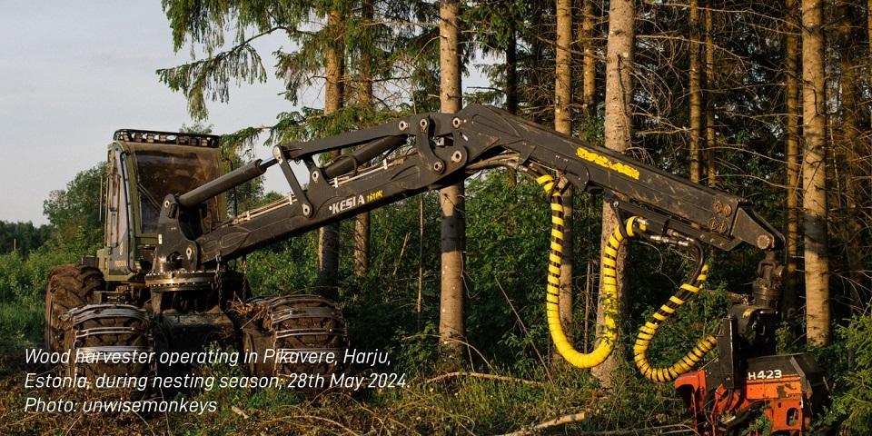 Træfældningsmaskine i drift i Pikavere, Harju, Estland, under ynglesæsonen den 28. maj 2024. Foto: unwisemonkeys Estland: Harvester
