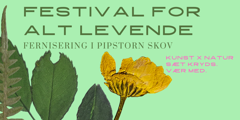 Layout: Stine Kähler Festival for Alt Levende
