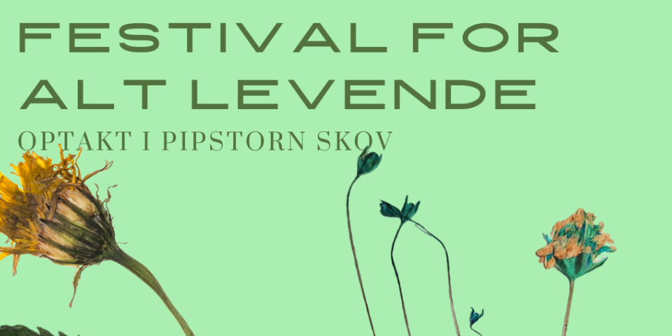 Festival For Alt Levende